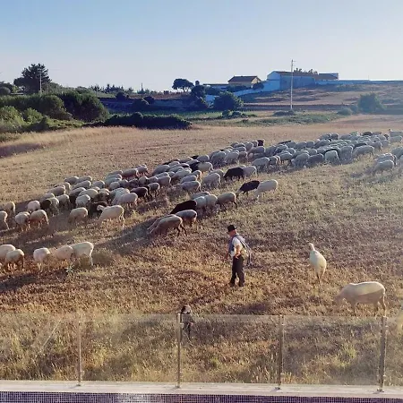 Вилла Casa O Carrasco Design House With Pool *